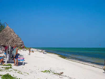 15 Acre in Jacaranda Watamu Asking Price per Acre 35M Contact