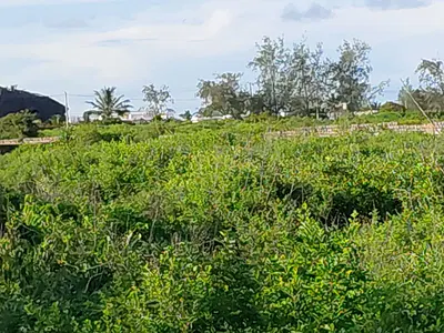 4 Acres of Land in Paparemo Beach Asking Price per Acre Is 45M Contac