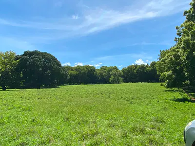 Prime Beach Front Land with Mature Indigenous Trees