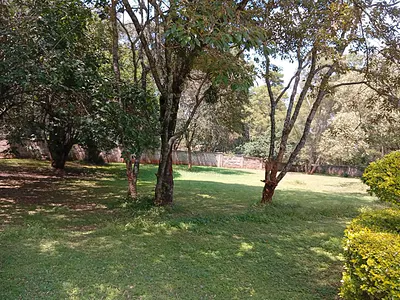 Furnished Cottage
