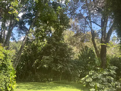 1-Acre Prime Plot