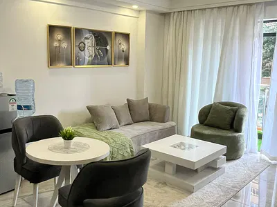 Serviced and Furnished 1 Bedroom Apartment