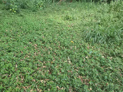 Karen One Acre Miotoni Area Red Soil. Very Prime in a Developed Neigh
