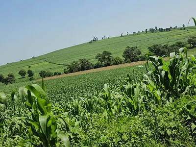 Prime 500-Acre Freehold Agricultural & Investment Land