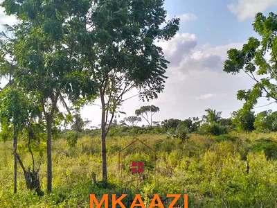 Prime 1-Acre Plots