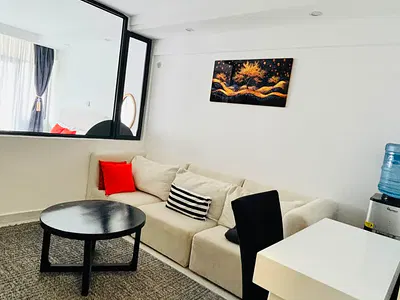 Modern and Spacious 1 Bedroom Furnished and Serviced.