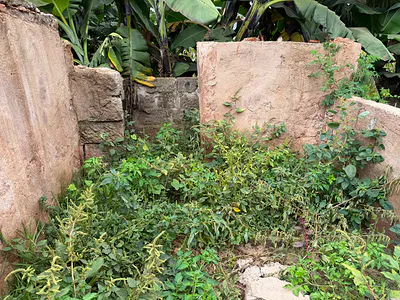 1.2 Acres of Land in Prime Area