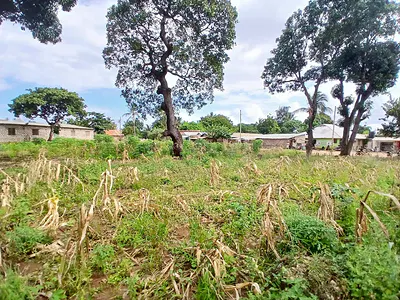 Prime 50×100 Plot for Sale