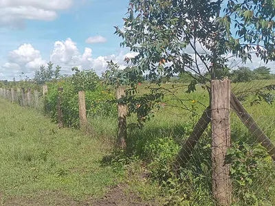60 Acres Prime Land for Sale