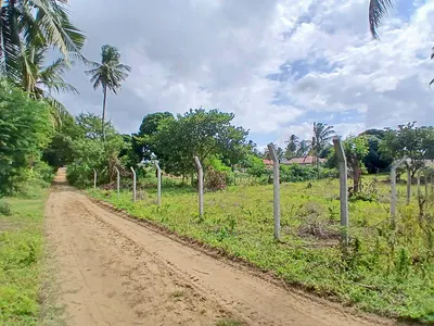 Prime Half-Acre Plot