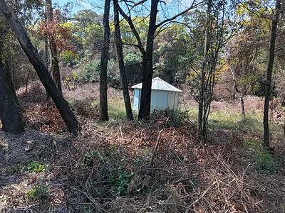 Prime and Virgin 5 Acres Land — Karen, Nairobi