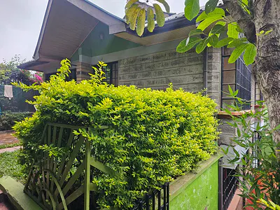 Lovely 3 Bedroom Cottage