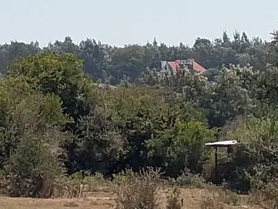 Land