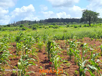 Affordable Freehold Plots
