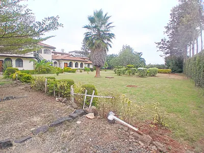 Spacious 3 Bedroom Apartment