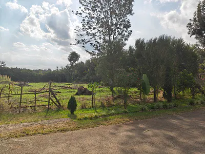 Vacant Land/Plot — Garden Estate, Roysambu, Nairobi