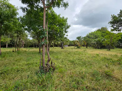 22 Acres Land Available — Kondutsi, Kinondo, Kwale