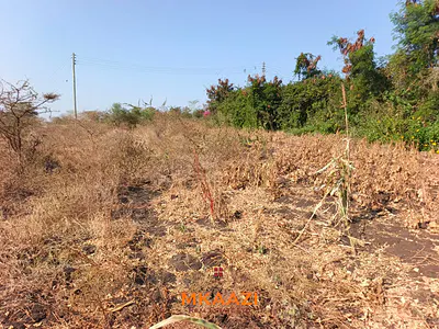 Prime 0.786-Acre Land