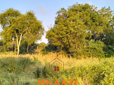 Prime 5-Acre Investment Land — Kauthara, Hindi, Lamu
