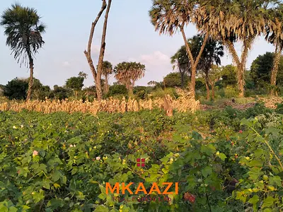 Prime Land Plots — Hindi Reserve, Hindi, Lamu