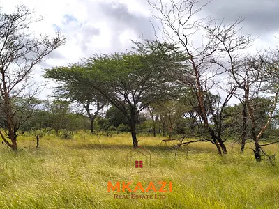 Prime 26, 000 Acres in Along the Lapsset Corridor — Lamu Garrissa Road, Hindi, Lamu