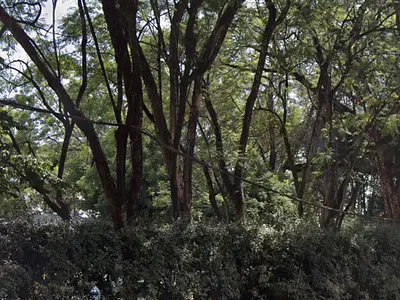 Prime 0.75 Acre Land for Sale — Off Riara Road, Kilimani, Nairobi