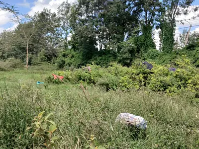 Karen 10acres Silanga Rd, Clean Property Documents Ideal for a Gated — Karen Silanga Rd, Karen, Nairobi