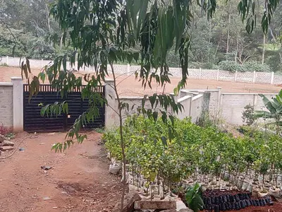 For Sale / Lease -- 2 Acres Kiambu Road a Rare Investment Opportunit — Kiambu Road, Thindigua, Nairobi