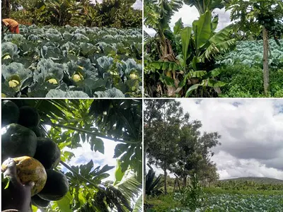 14 Acres of High-Potential Agricultural Land for Sale -- Lukenya a Pro — Lukenya, Athi River, Machakos