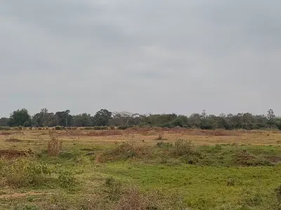 ¼-Acre Plot Subdivided — Kenyatta Road, Ruiru, Kiambu