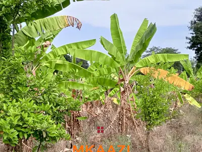 Prime 3-Acre Farm — Moshi, Tanzania, Ewuaso Oonkidong'i, Kajiado