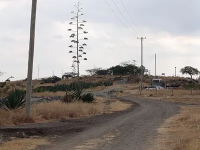 6 Acres Prime Investment Land -- Malaa, Machakos 3.5M per Acre — Malaa, Chokaa, Nairobi