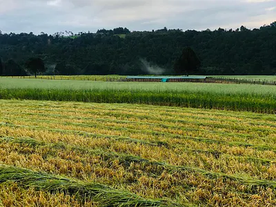 33 Acres of Fully Functional Farm — Ol Kalou, Karau, Nyandarua