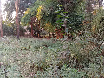 Prime 5 Acres of Development Land Available — Karen, Nairobi