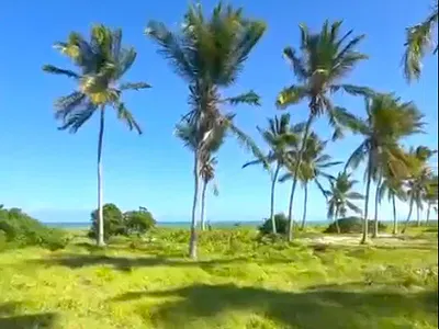 1.8-Acre Beachfront Residential Land — Mayungu, Malindi Town, Kilifi