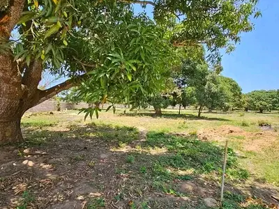 Quarter Acre Plots Vipingo Northcoast — Vipingo, Mtwapa, Kilifi