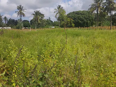 ¼ Acre Land — Bomani, Mtwapa, Kilifi