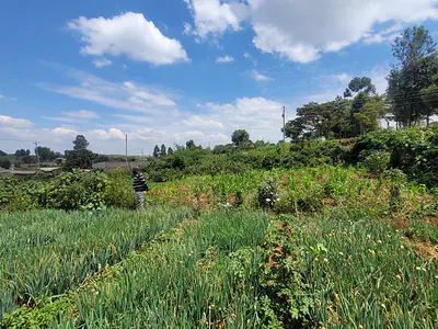 Prime 1/8 Acre Plots — Kamkunji-Kiplombe, Eldoret, Uasin Gishu
