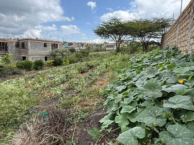 Fully Developed Farm Land — Kiserian, Ongata Rongai, Kajiado