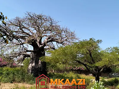 3-Acre Residential Land with Development Potential — Casuarina Road, Malindi Town, Kilifi