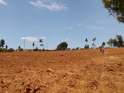 31 Acre Farm Land — Kisima, Timau, Meru