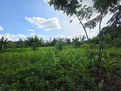 10 Acre Residential Land — Kitisuru, Nairobi