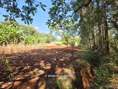 4.7 Acre Residential Land — Kitisuru, Nairobi