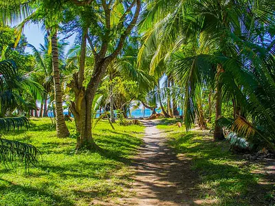 3 Star Beachfront Resort Property — Diani, Ukunda, Kwale