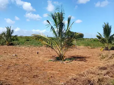 5-Acre Oceanfront Residential Land — Manda, Lamu, Bahari, Lamu
