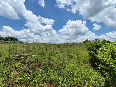 1/2 Acre Plot of Land — Runda, Westlands, Nairobi