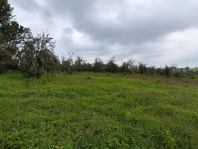 3 Acres Residential Land — Riara Ridge, Nazareth Road, Tigoni, Kiambu