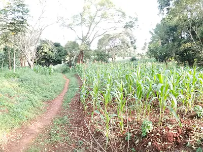 Land — Ridgeways, Nairobi Central, Nairobi
