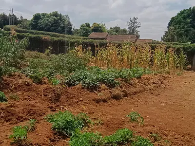 Residential Land - Half Acre Plot — Kiu Road, Ruiru, Kiambu
