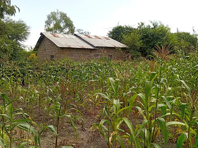 Residential Land Plot — Ruai, Nairobi